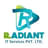 Radiant IT Services Pvt Ltd
